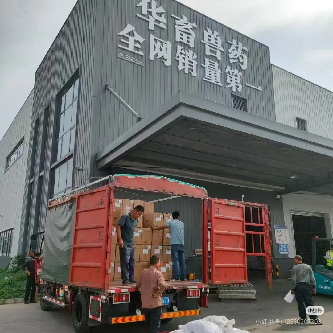 新乡工艺高的大公司招聘精英啦