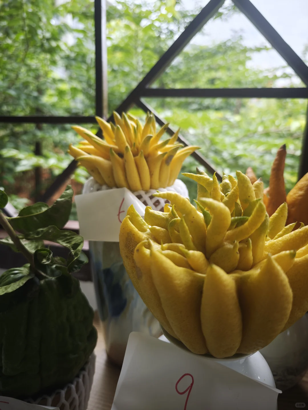 招募助播 打包工 位置离临沧市区6分钟路程