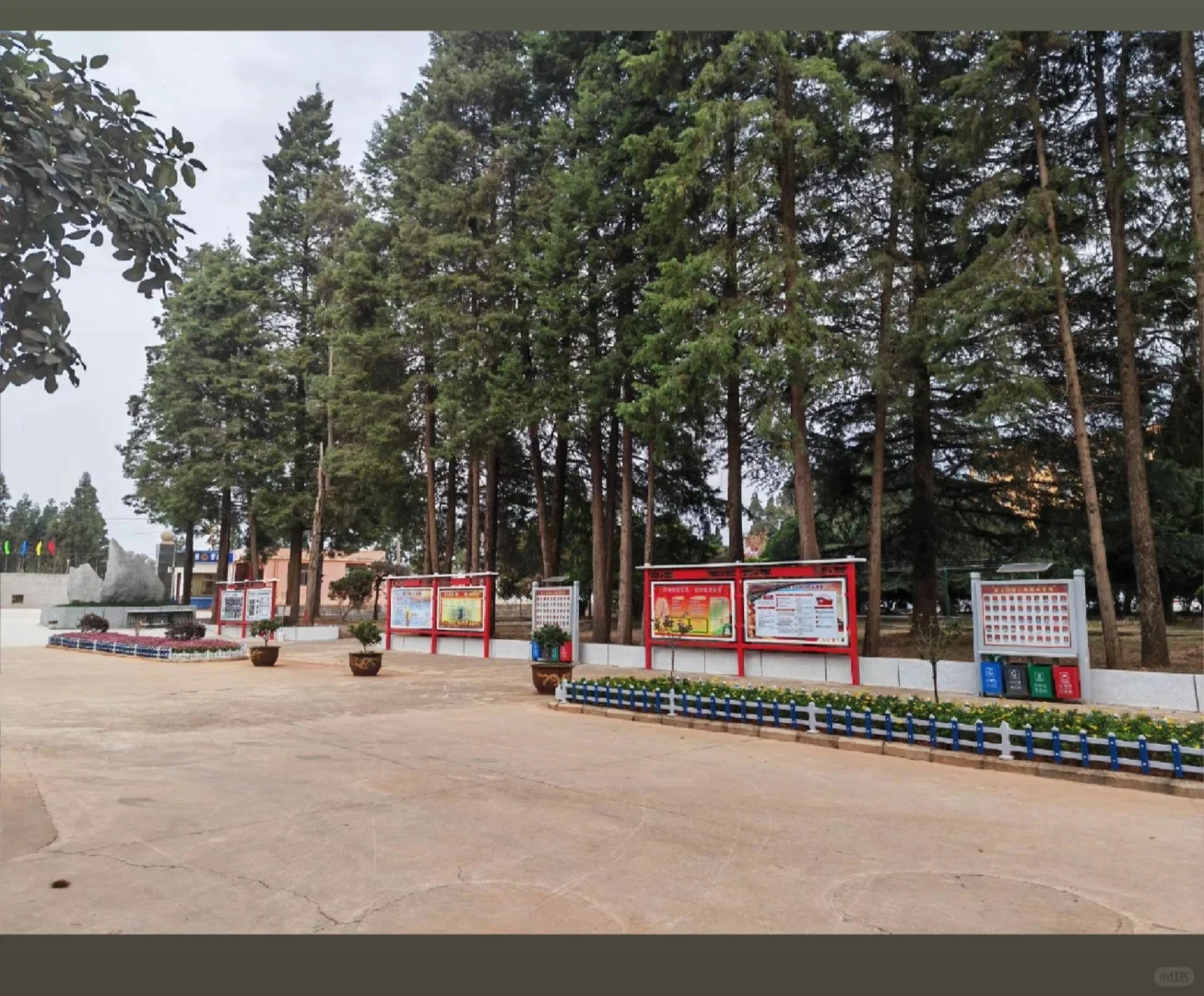 急招!自贡某职业学校招聘: