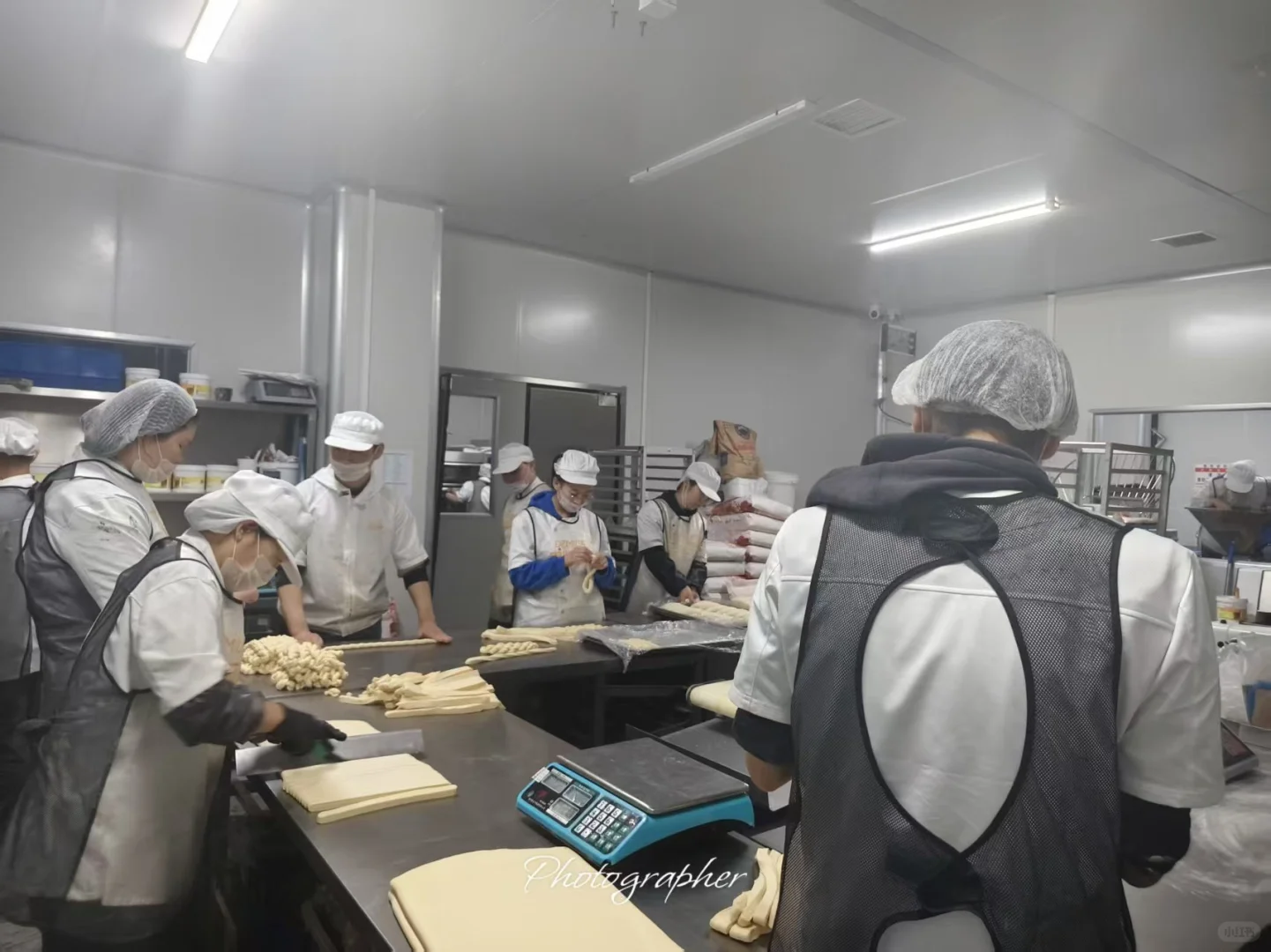 招聘临时工（沈北新区-森林之光）