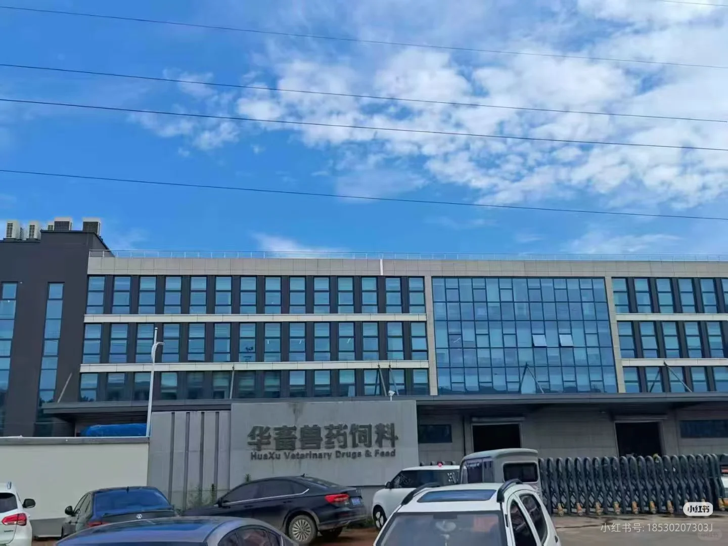 新乡工艺高的大公司招聘精英啦