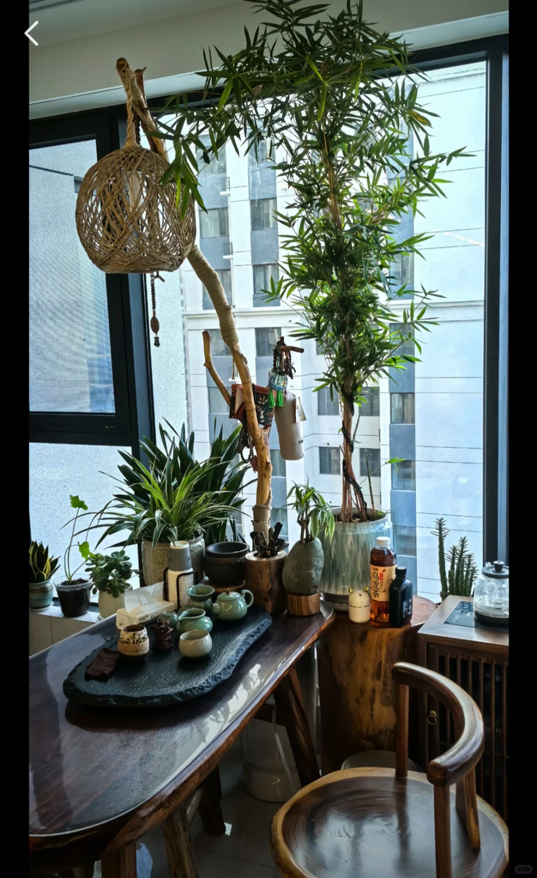 衡阳市住家保姆招聘