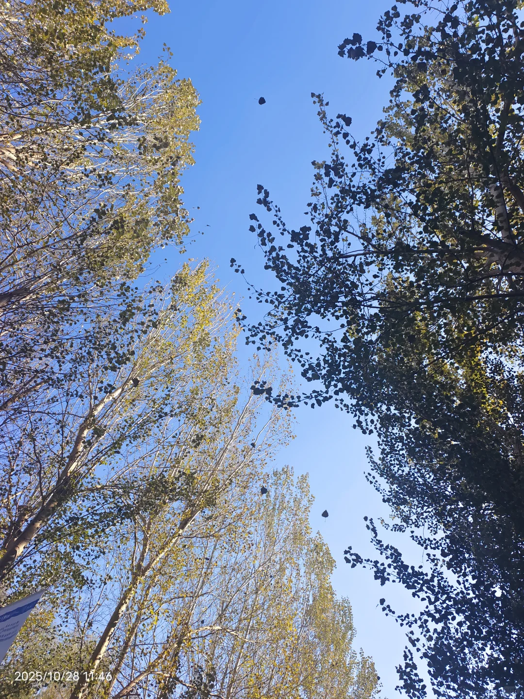 参加双选会,我感觉自己是这片浪潮下的灰烬