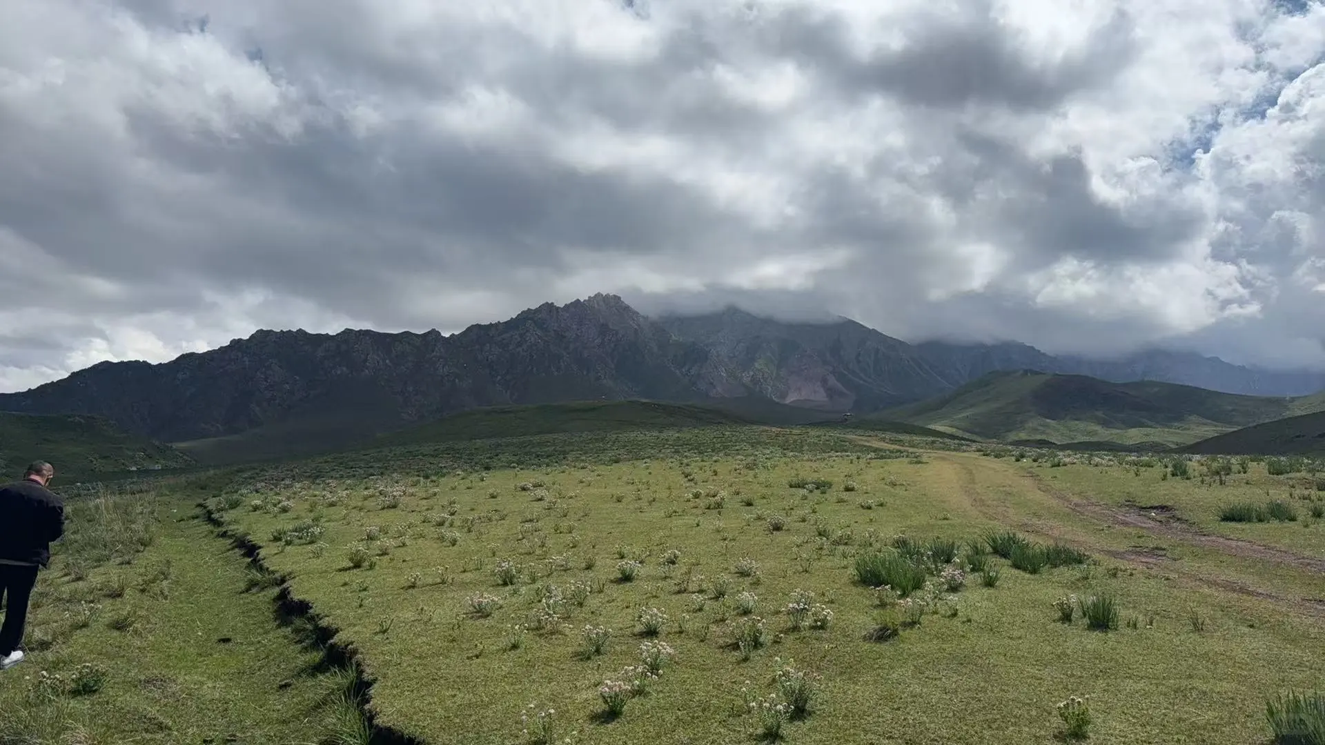 招聘销售，达人
