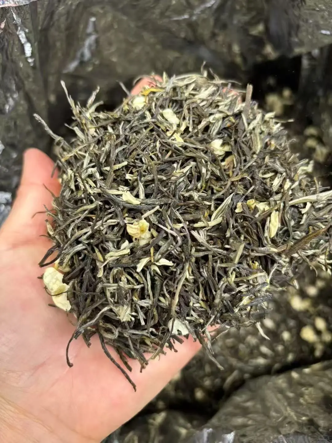 嘉峪关市体育场摊玩市集兼职招募啦🎉