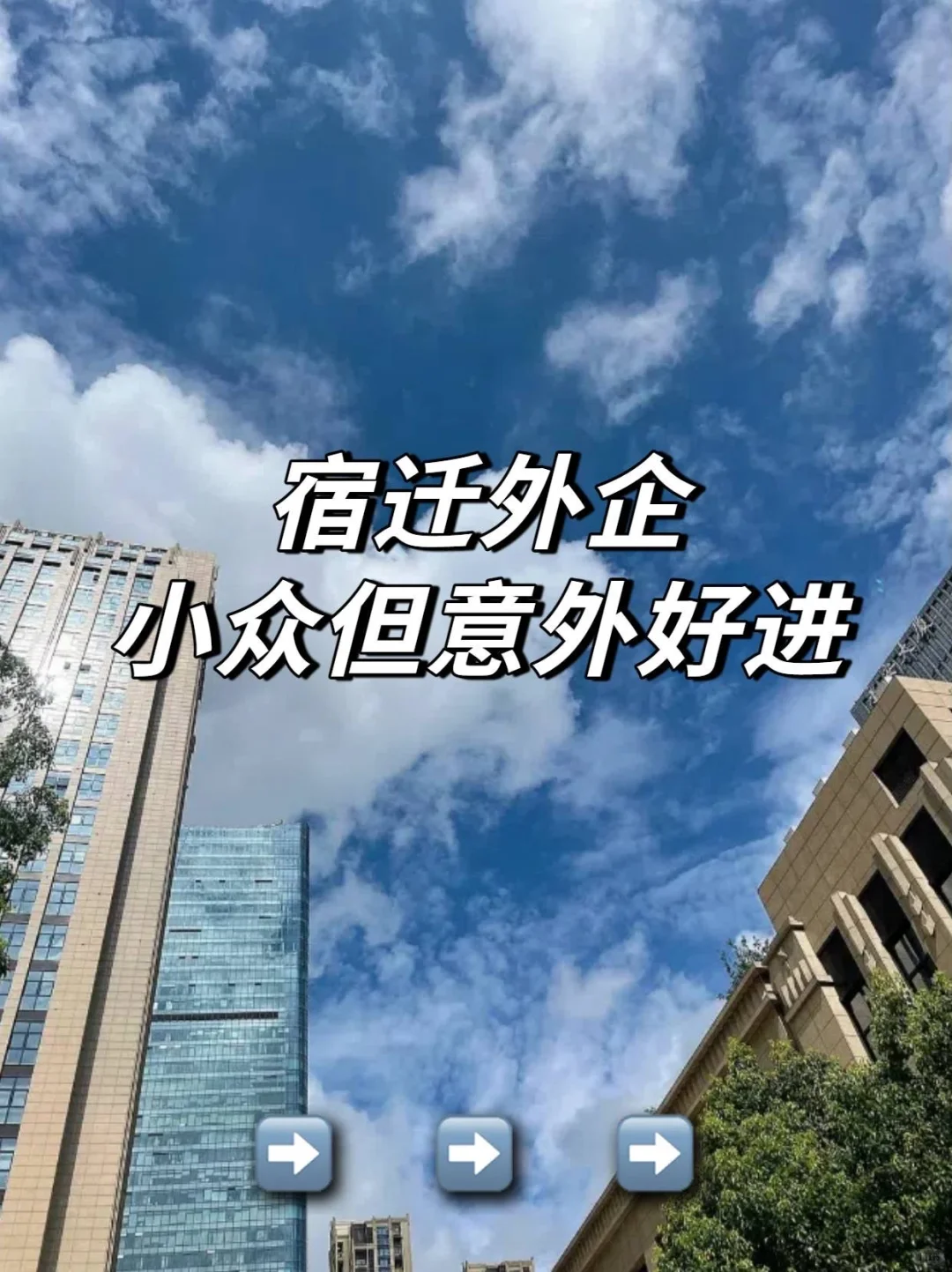 小众但意外好进的宿迁外企