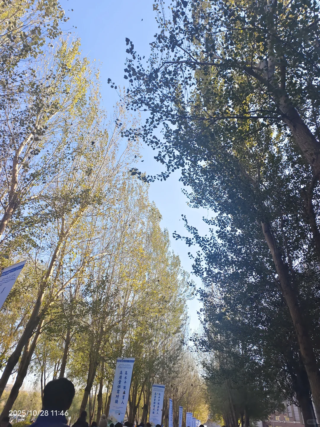 参加双选会,我感觉自己是这片浪潮下的灰烬