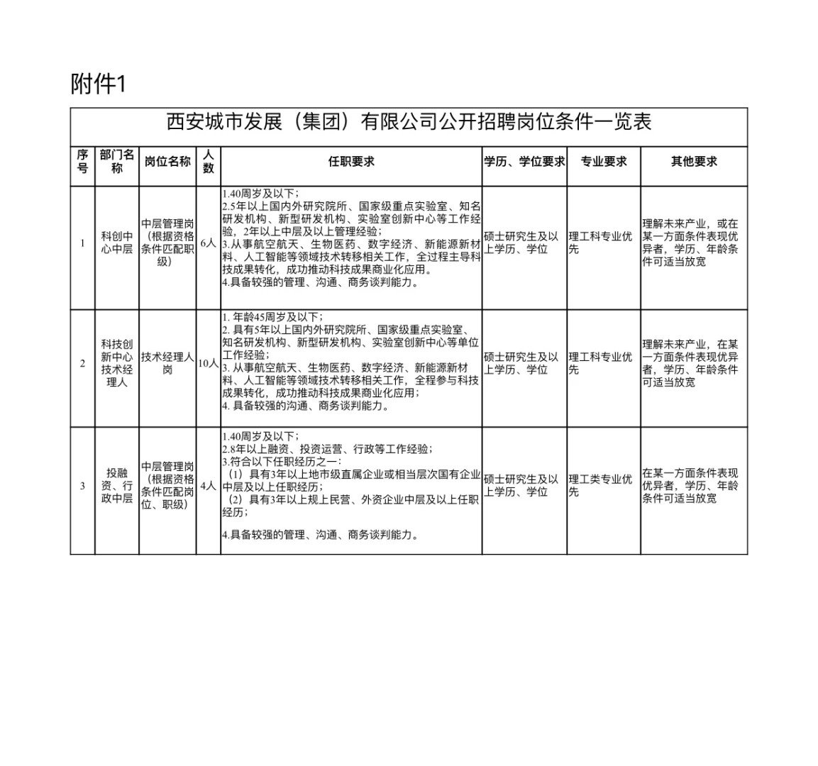 西安城市发展（集团）有限公司2025