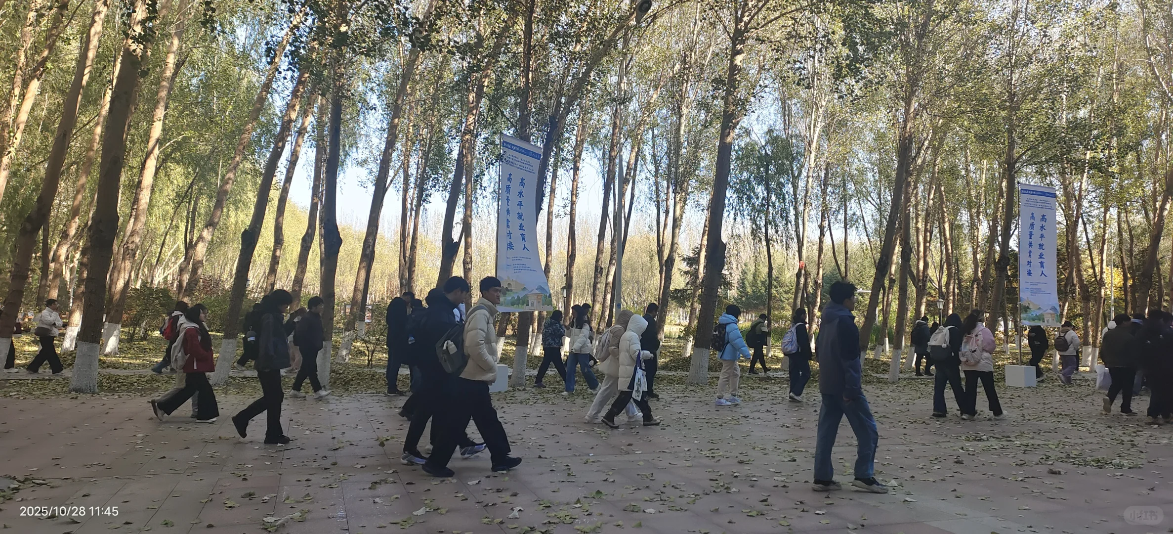 参加双选会,我感觉自己是这片浪潮下的灰烬