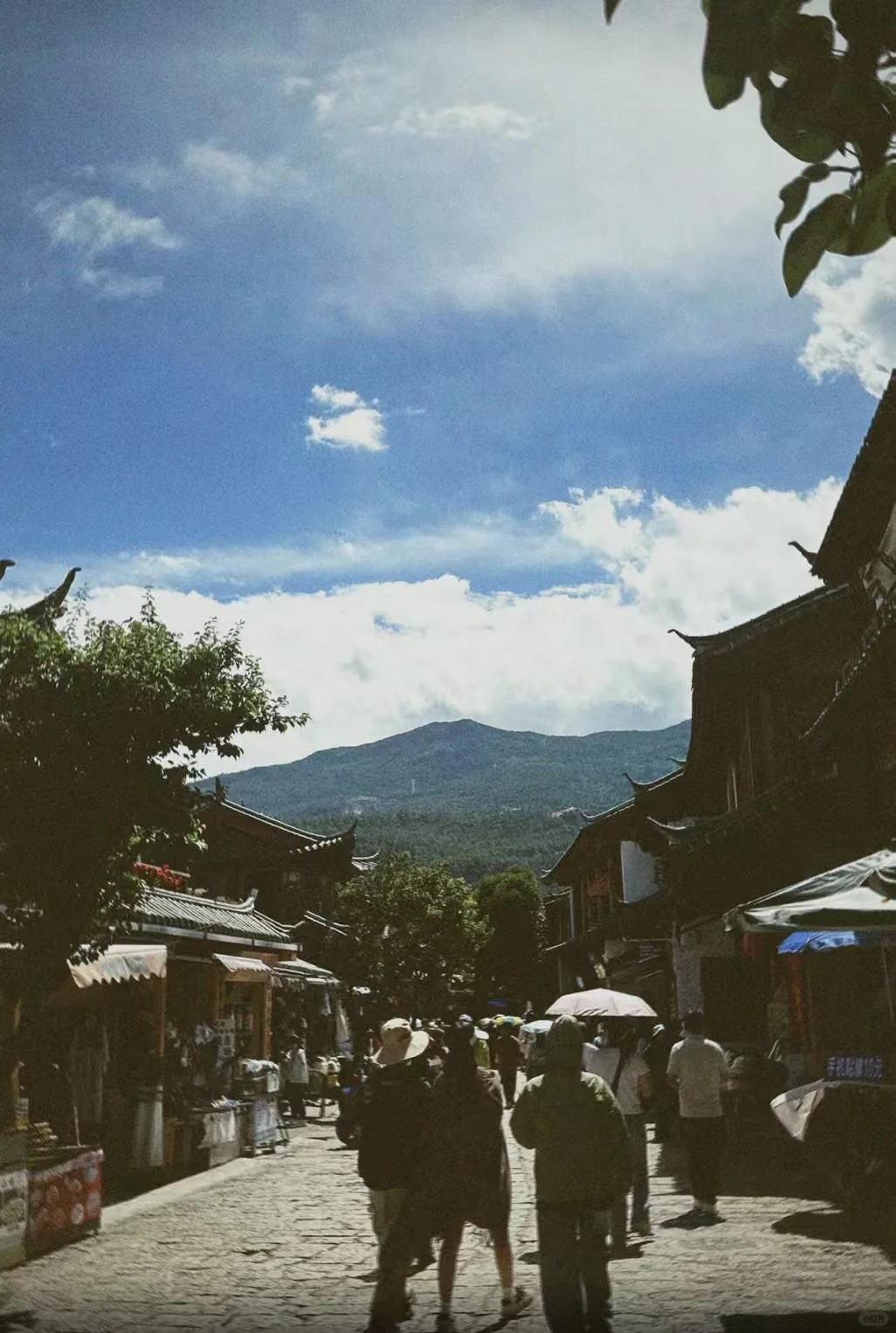 丽江古城招一名义工