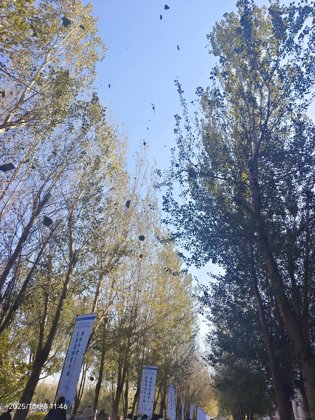 参加双选会,我感觉自己是这片浪潮下的灰烬