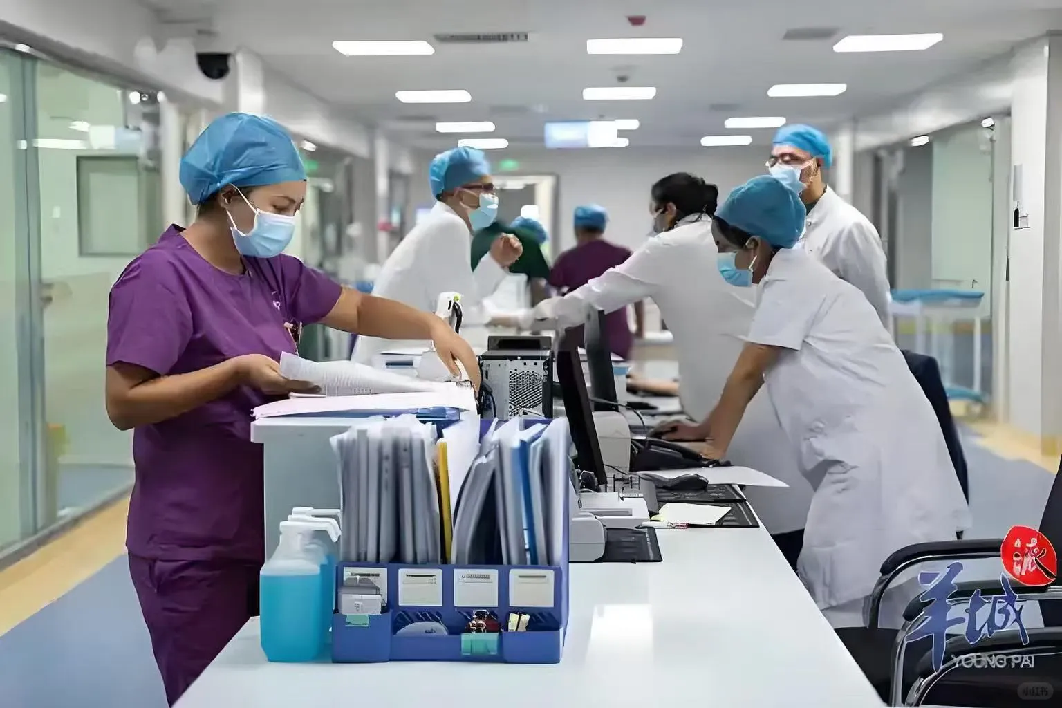 令人羡慕的行政岗它来了