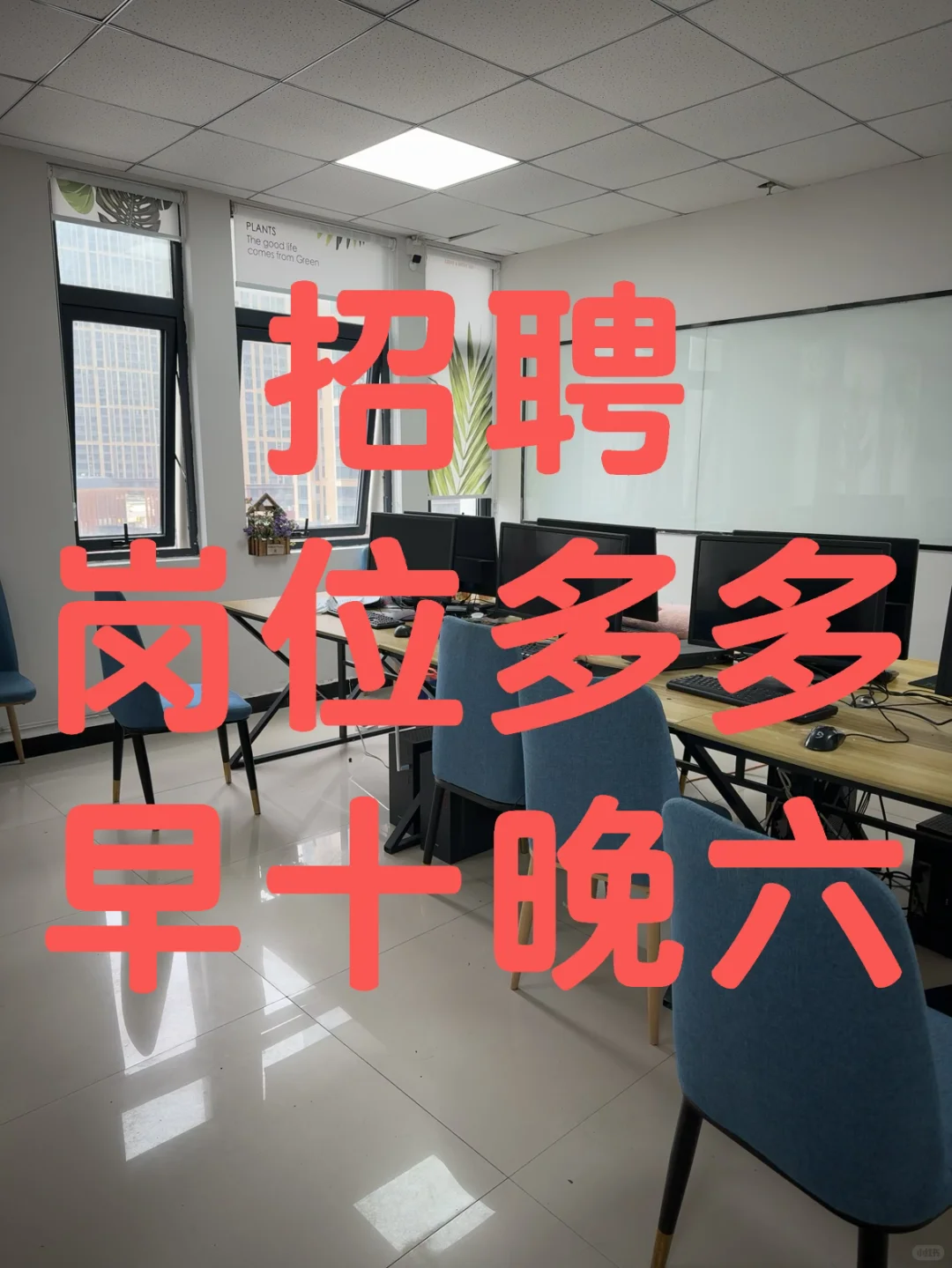 亳州招聘、亳州招聘、亳州招聘、亳州招聘