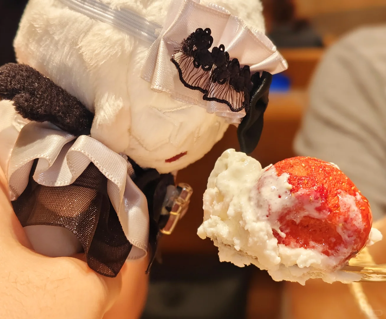 棉：人是好人₍˄·͈༝·͈˄*₎◞ ̑̑