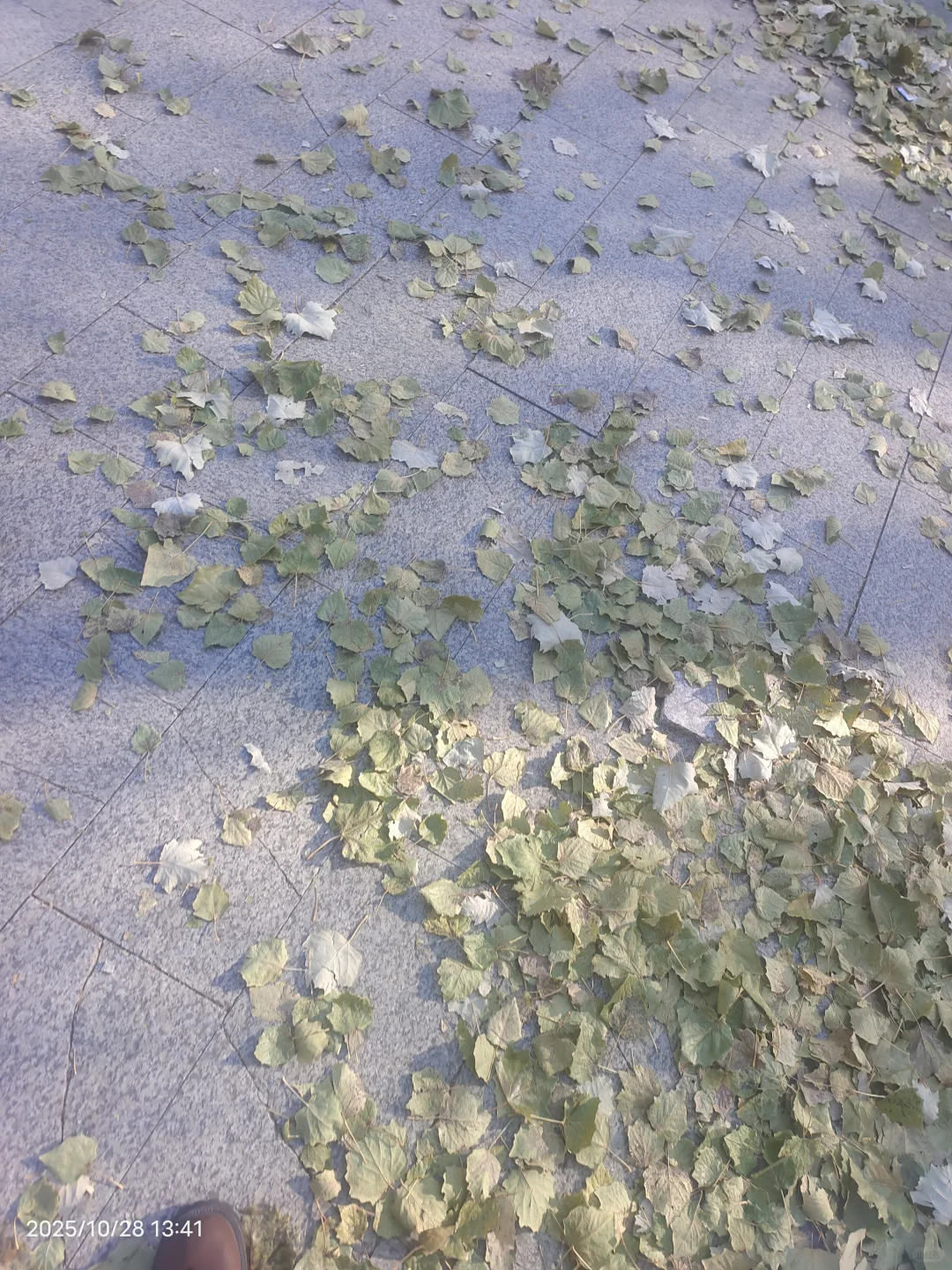 参加双选会,我感觉自己是这片浪潮下的灰烬