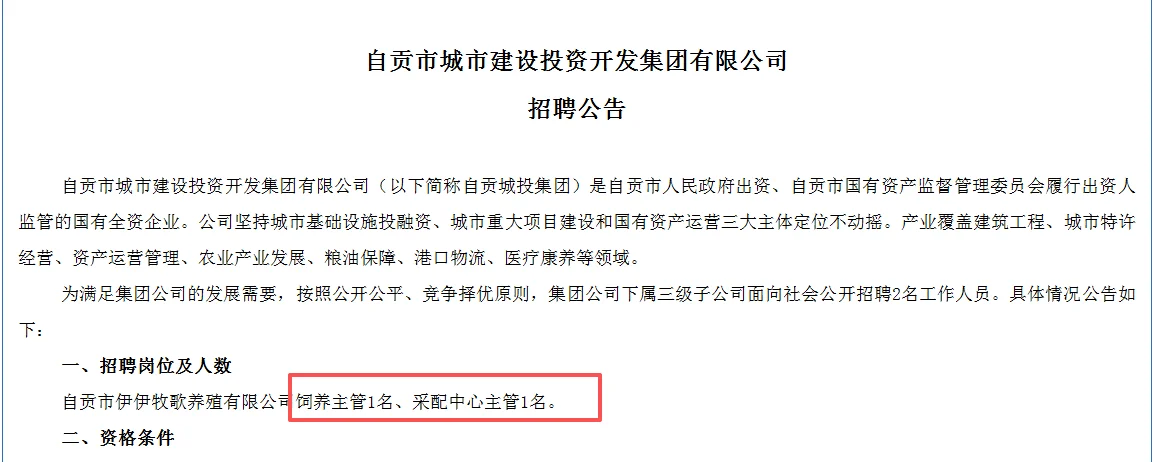 【国企】自贡城投招聘 本科可报