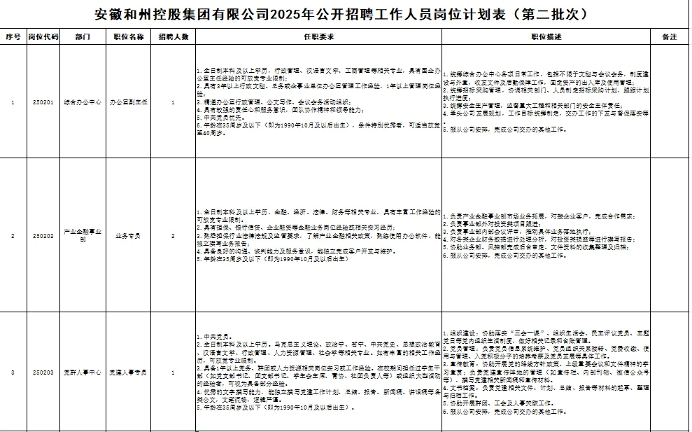 2025马鞍山安徽和州控股集团有限公司招聘7