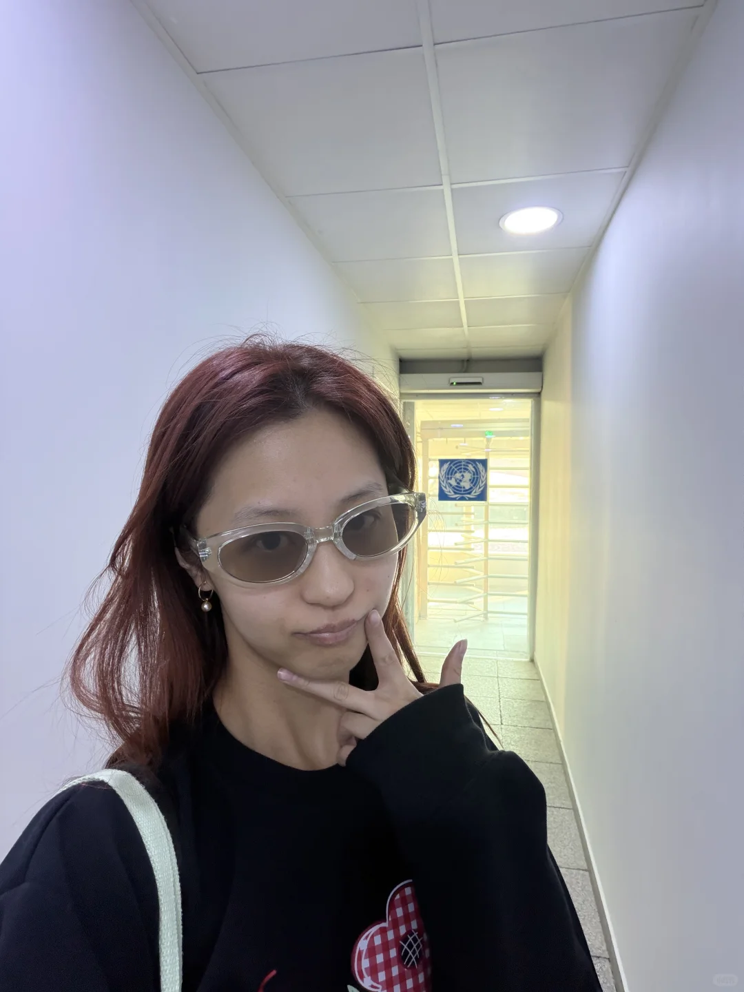 真实的联合国🇺🇳：如果腐败具像化