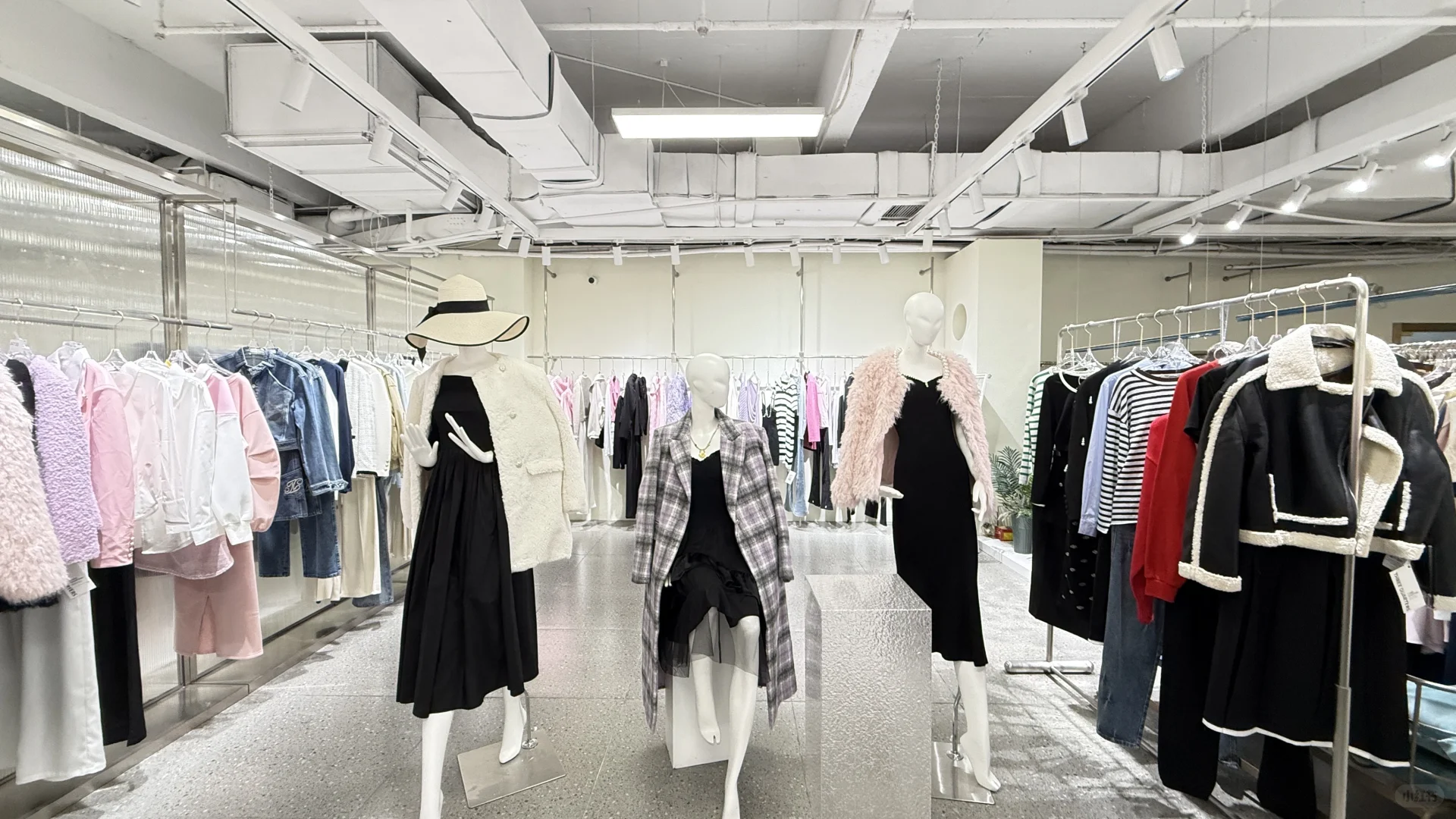 招女装带货主播男女不限不会可学