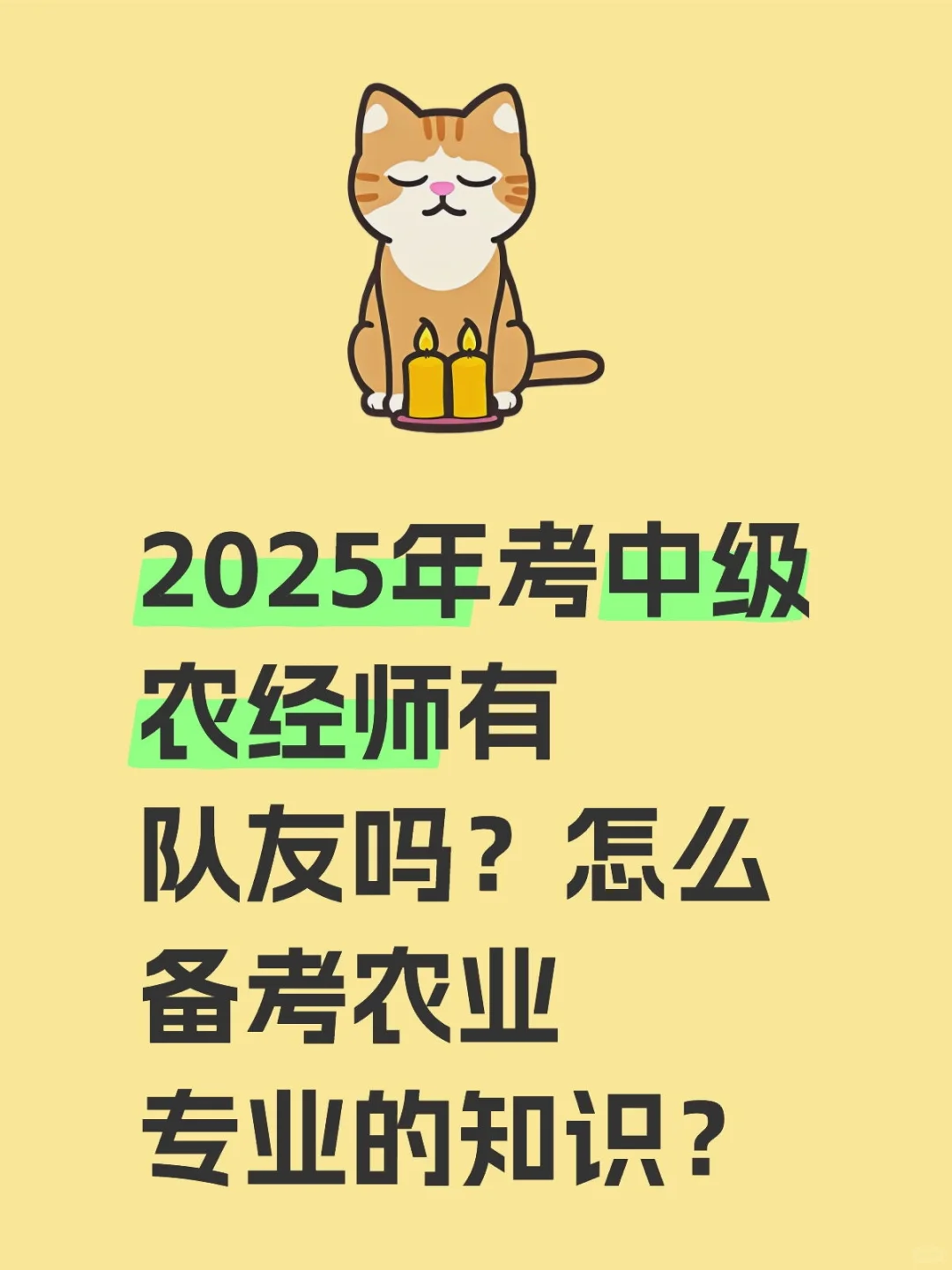 中级农经师