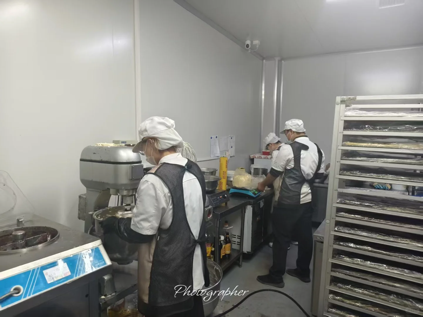 招聘临时工（沈北新区-森林之光）