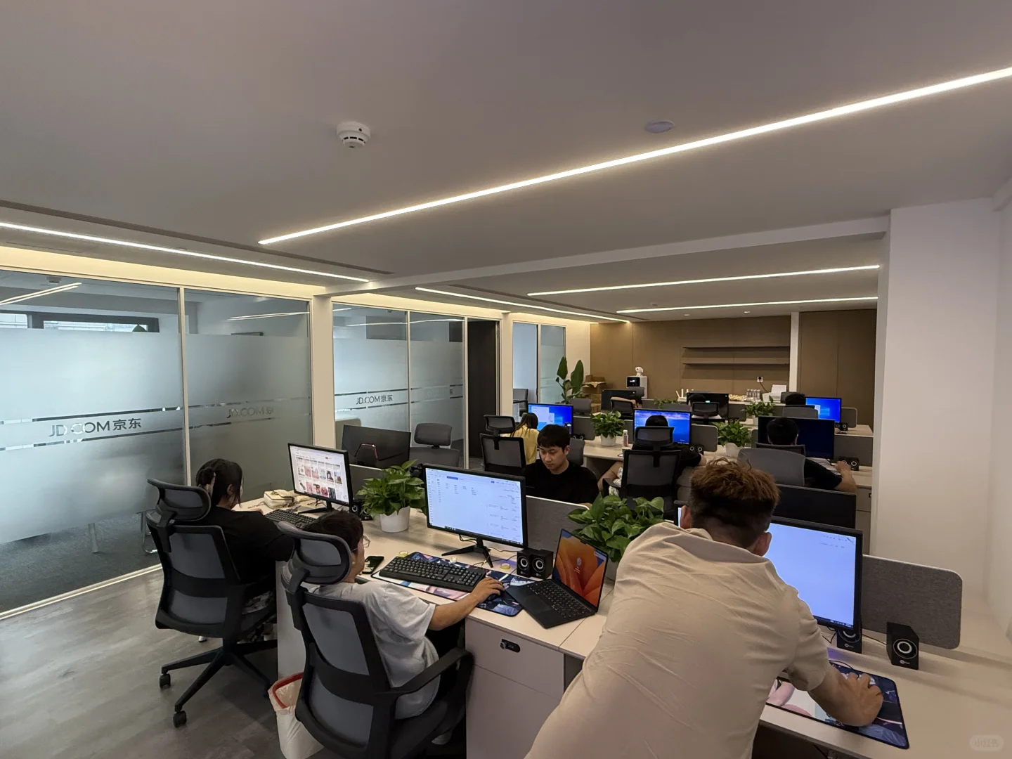 成都一群年轻人的电商公司