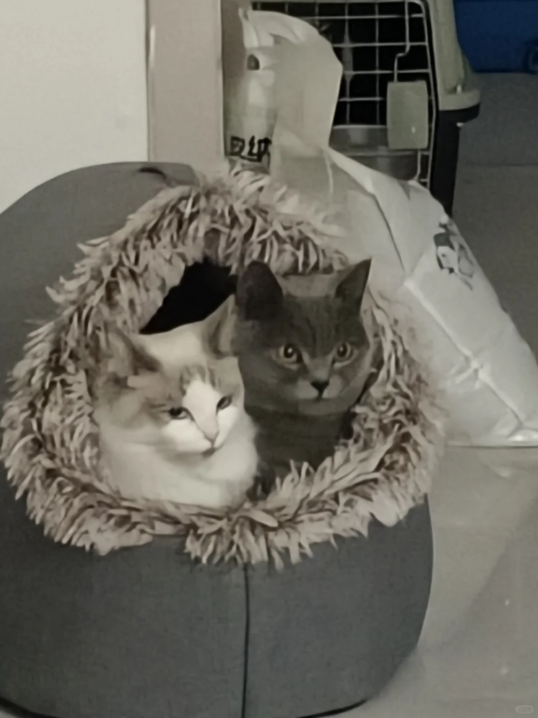 亳州市人民医院护士招聘回忆版