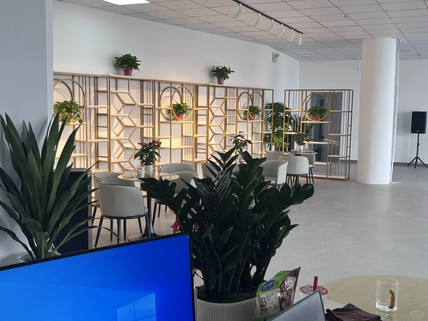 初创公司，无固定工作时间，不坐班可摸鱼