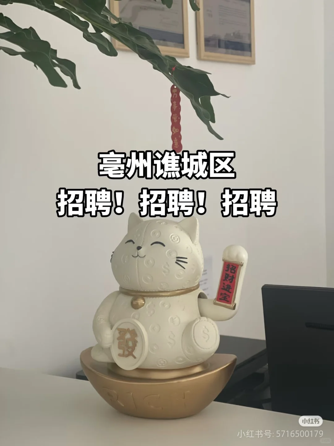 招聘号外📢