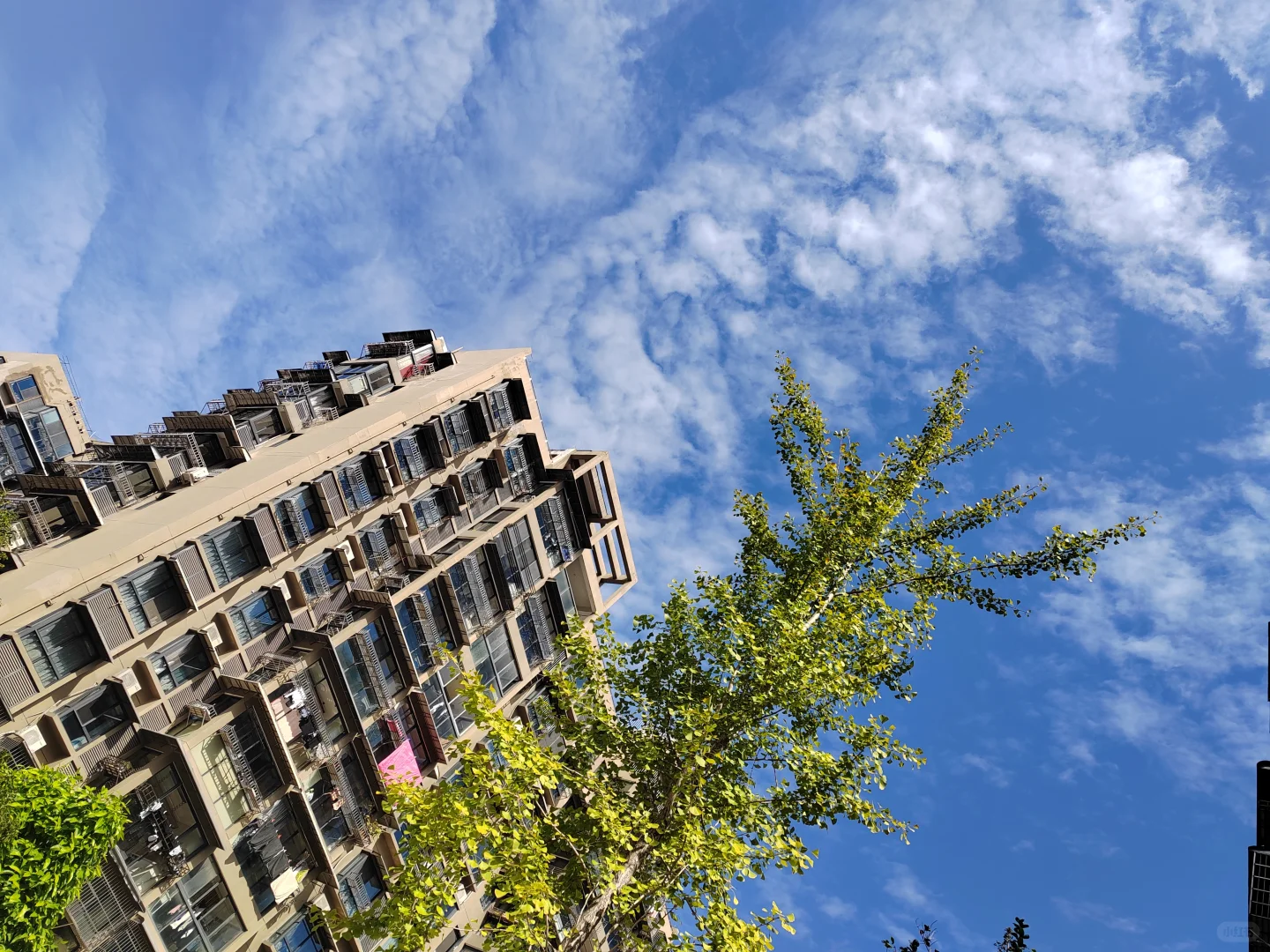 招聘瓯海英语老师7000—12000