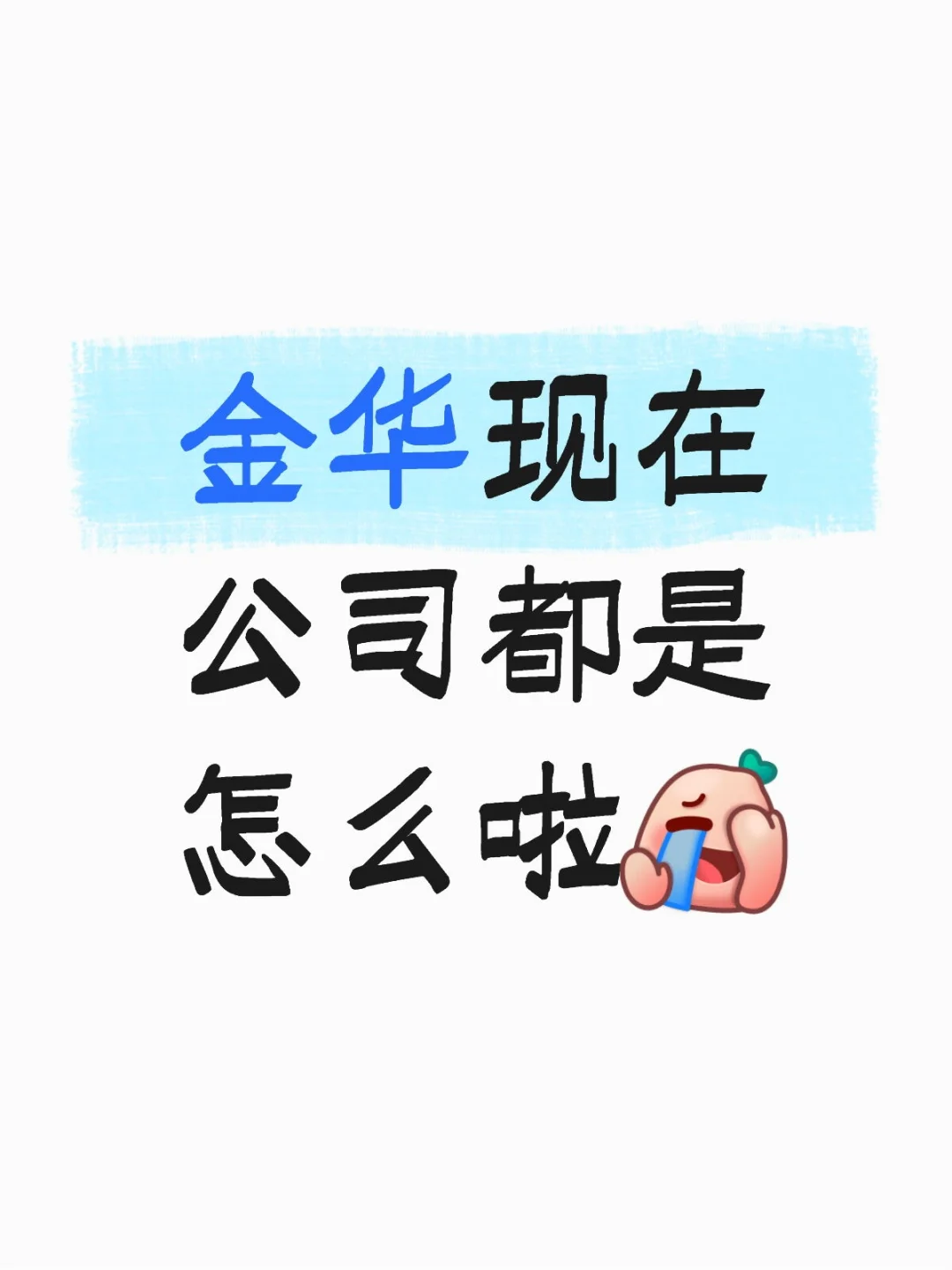 金华现在公司都是怎么啦