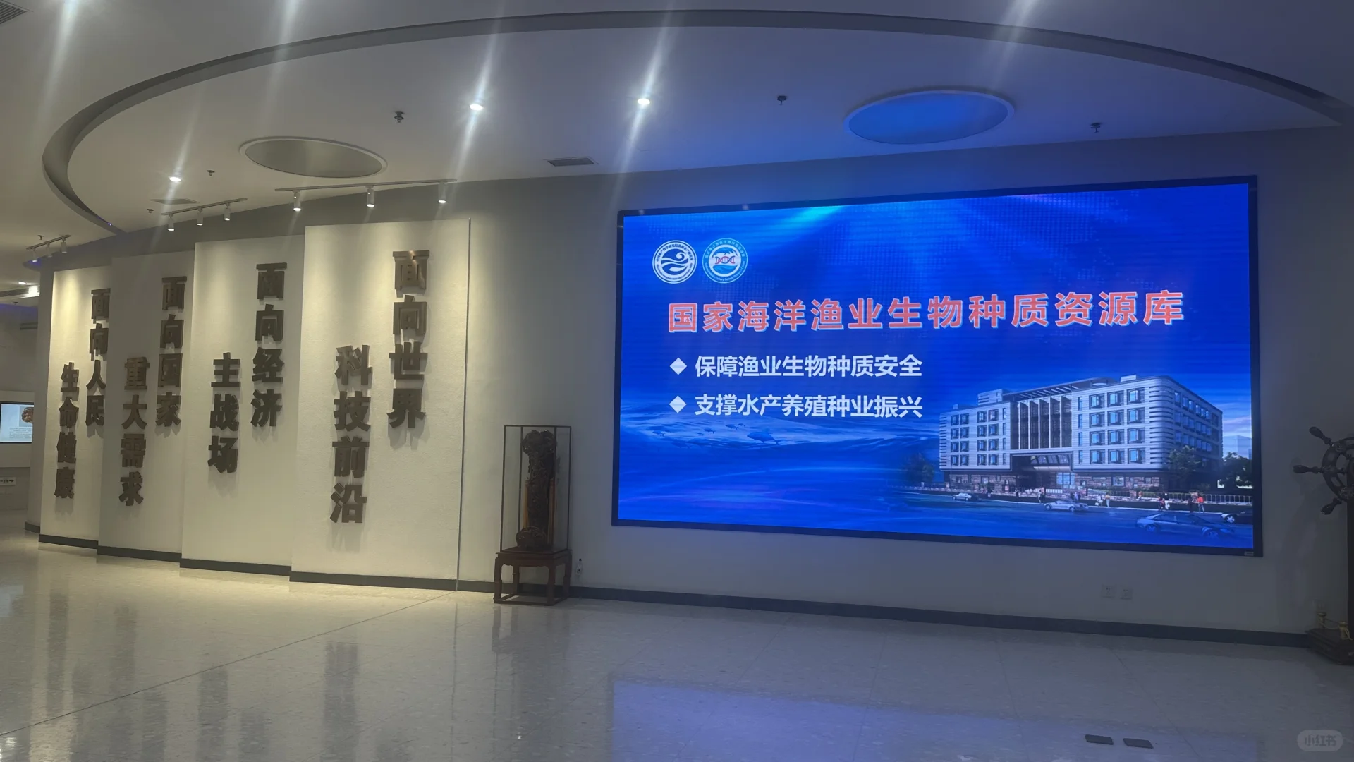 参加农业农村部2025渔业走出去培训班