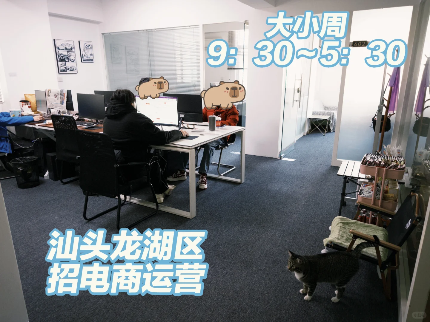 招聘！汕头龙湖区招电商运营，小伙伴看过来！