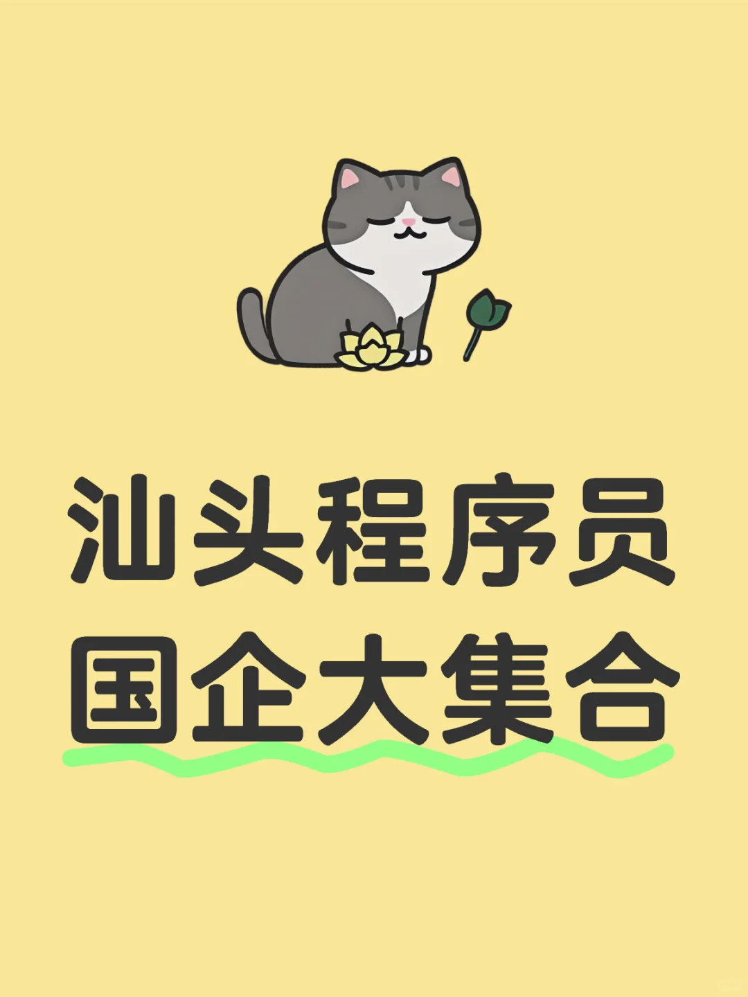 汕头程序员看过来，国企公司大集合