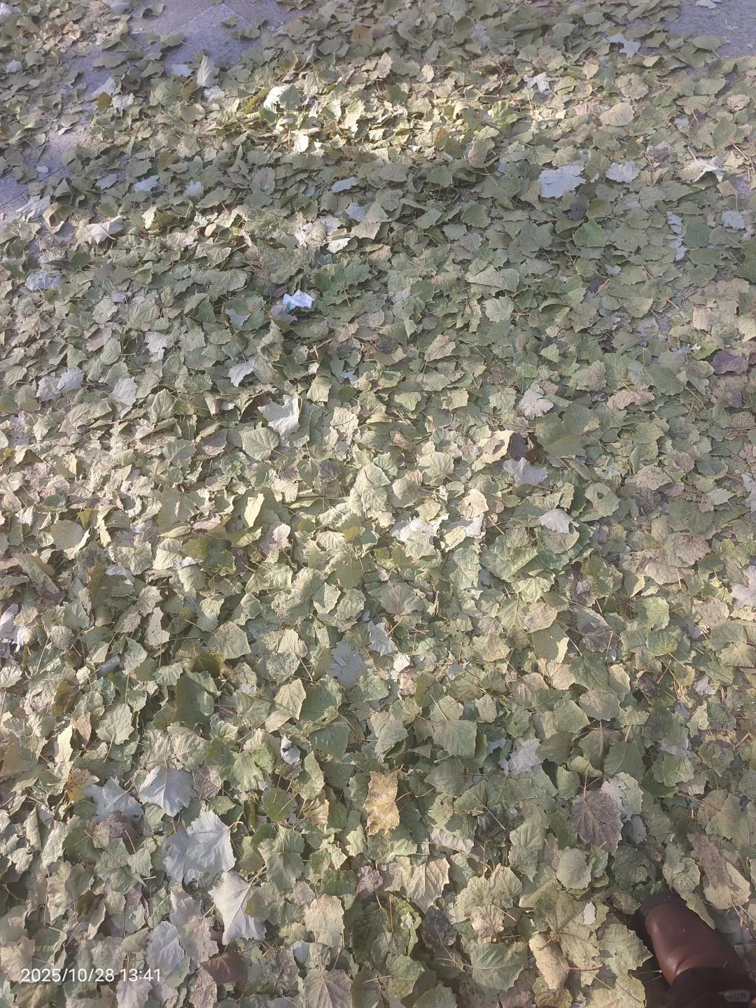 参加双选会,我感觉自己是这片浪潮下的灰烬