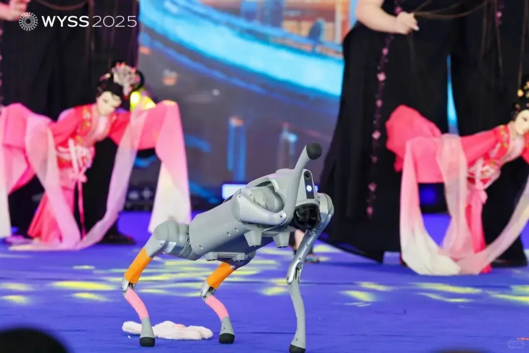 最后一天，温州周末亲子别错过，奥体青科会