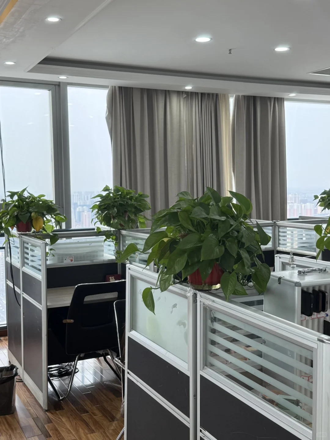 接收小白 0基础 只招8人哦