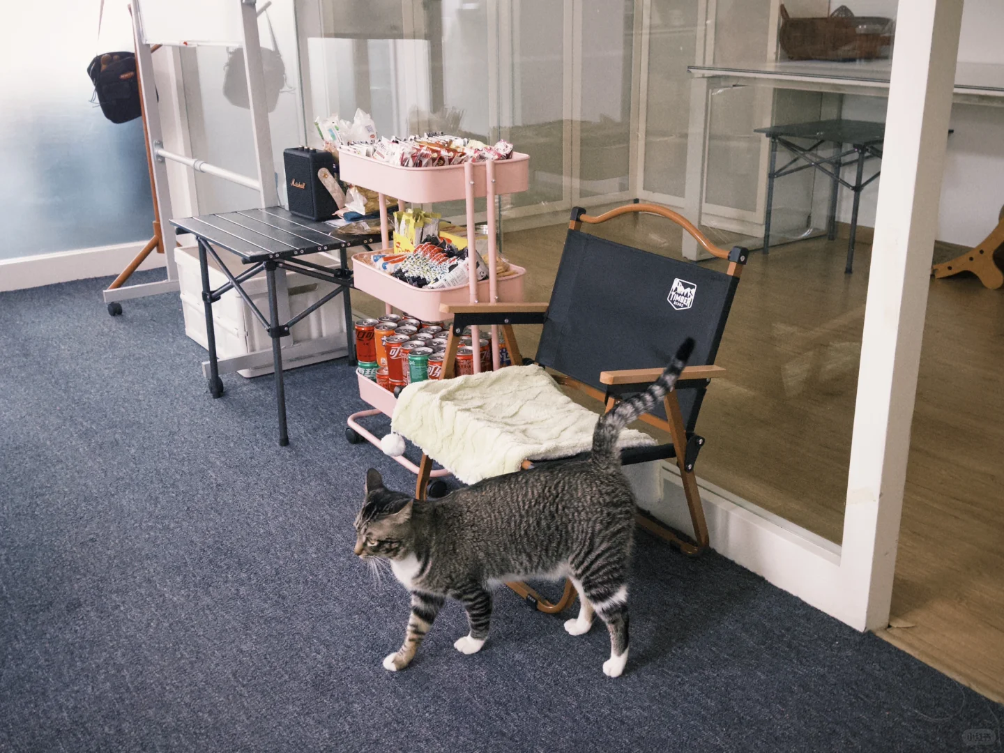 招聘！汕头龙湖区招电商运营，小伙伴看过来！