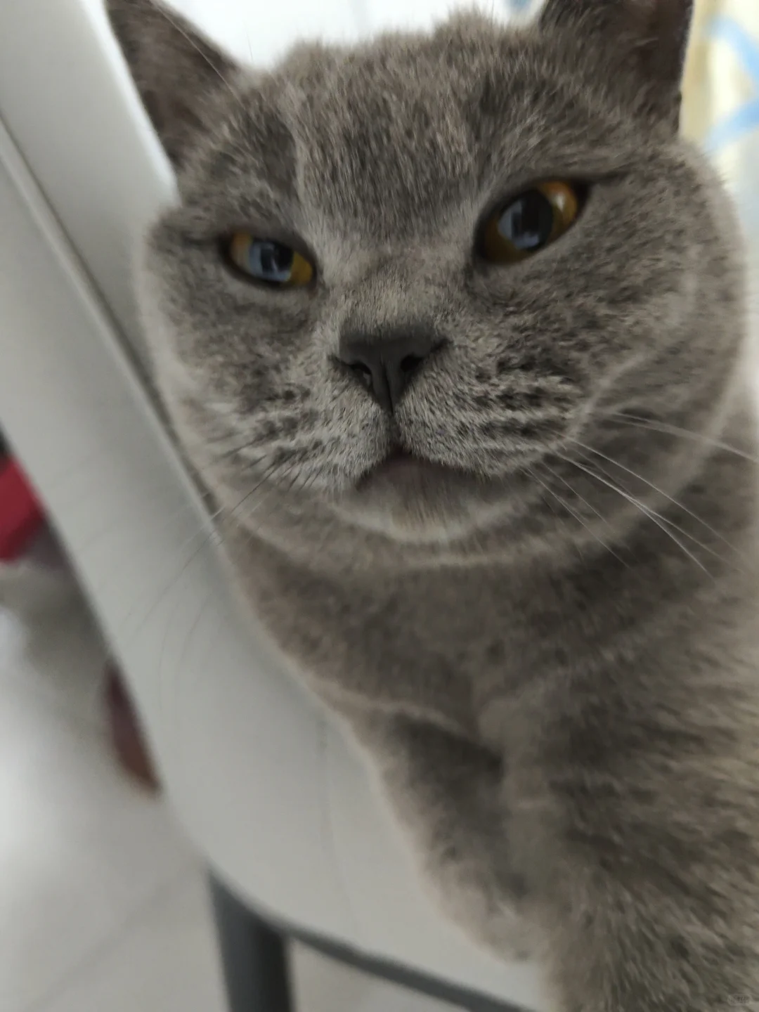 亳州市人民医院护士招聘回忆版