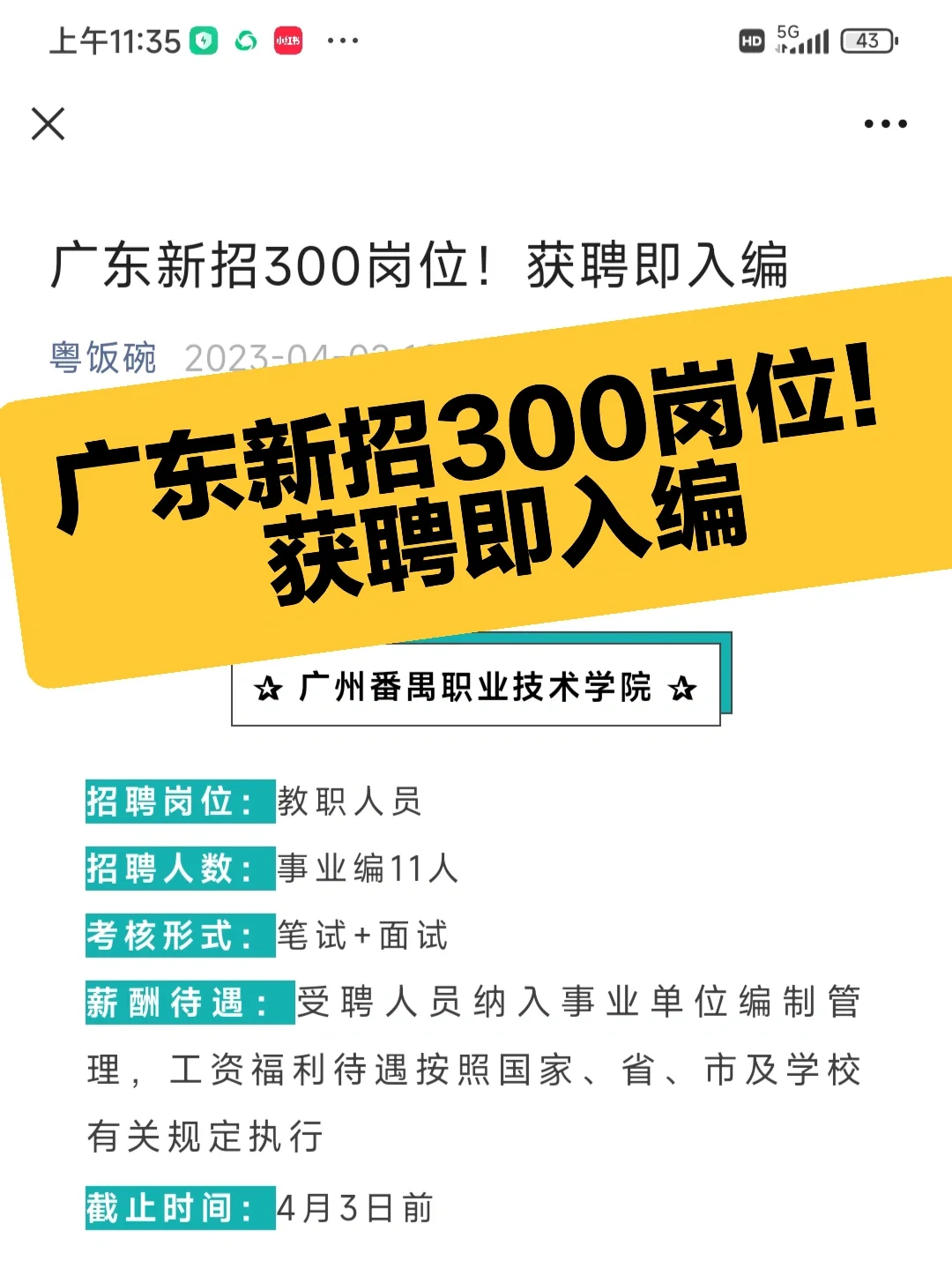 广东新招300岗位！获聘即入编
