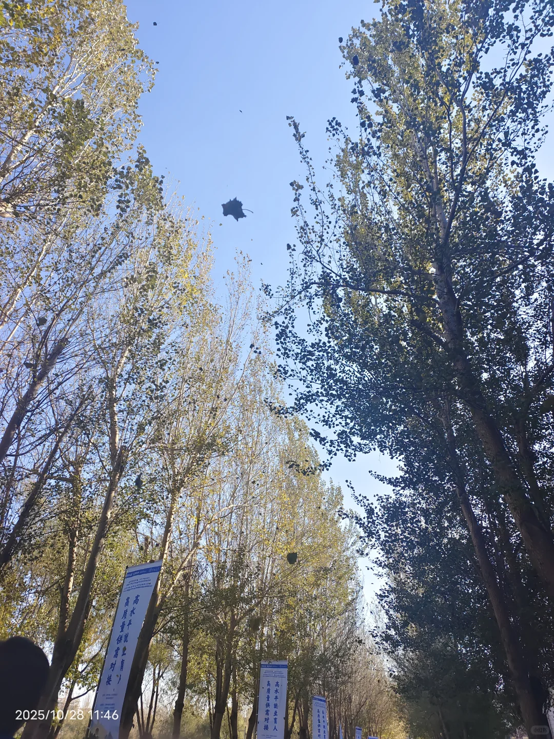 参加双选会,我感觉自己是这片浪潮下的灰烬