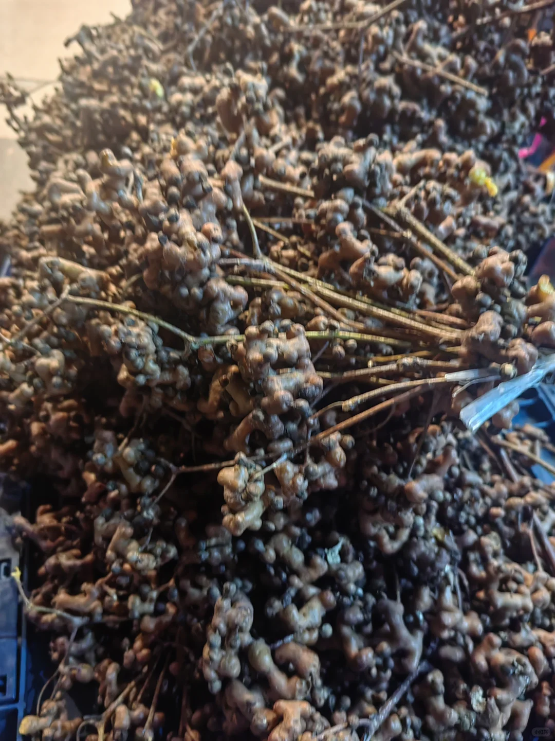 西安月薪三千二怎么攒1w