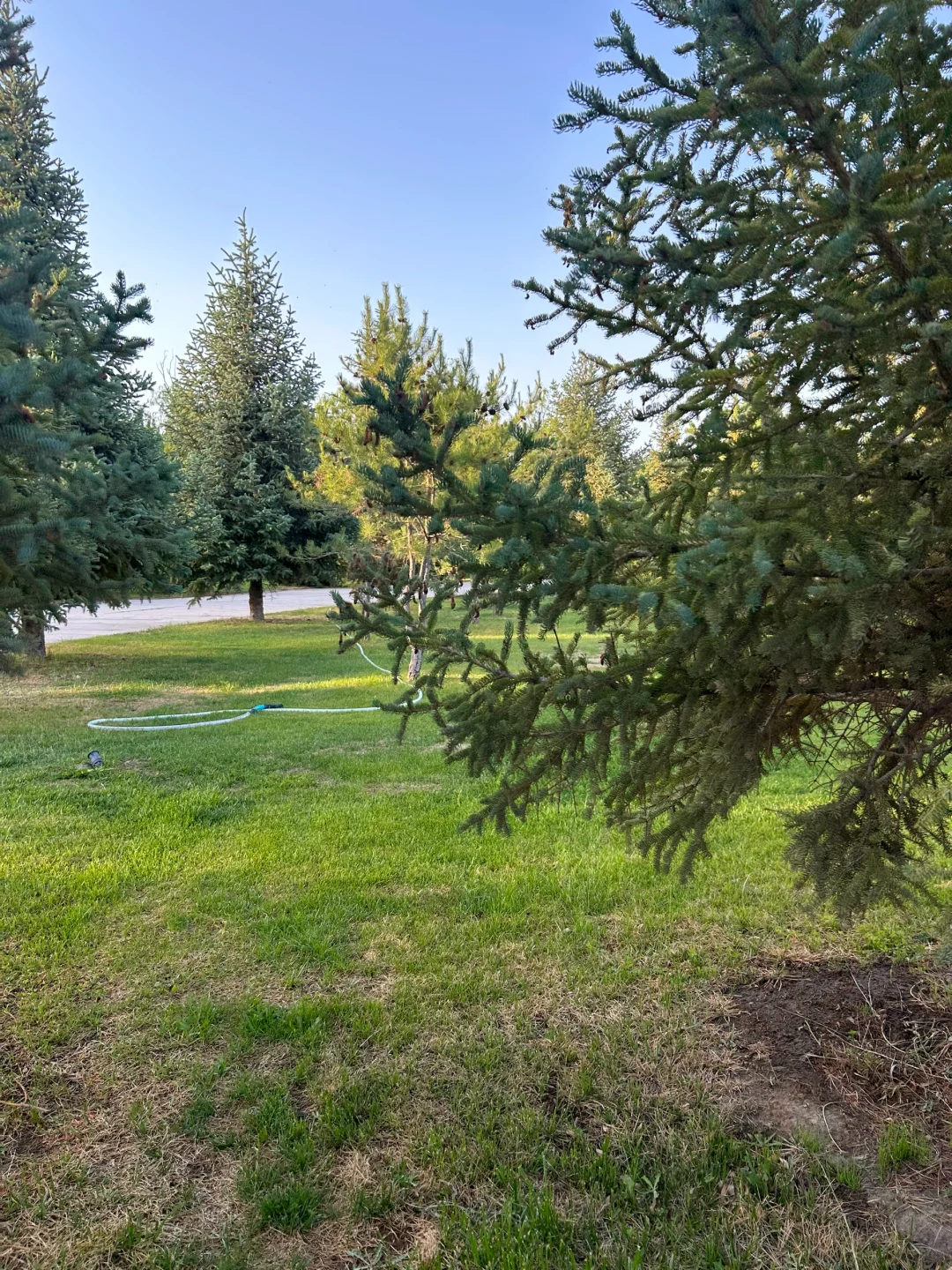 酒泉找逛街搭子，本人女孩子