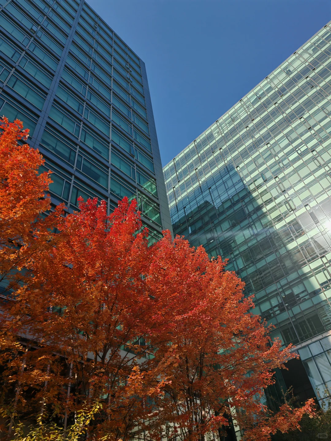 月薪8w+中高层的一些心法（8）