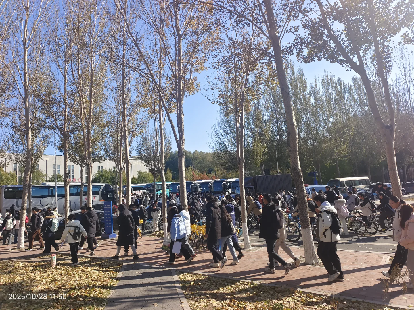 参加双选会,我感觉自己是这片浪潮下的灰烬