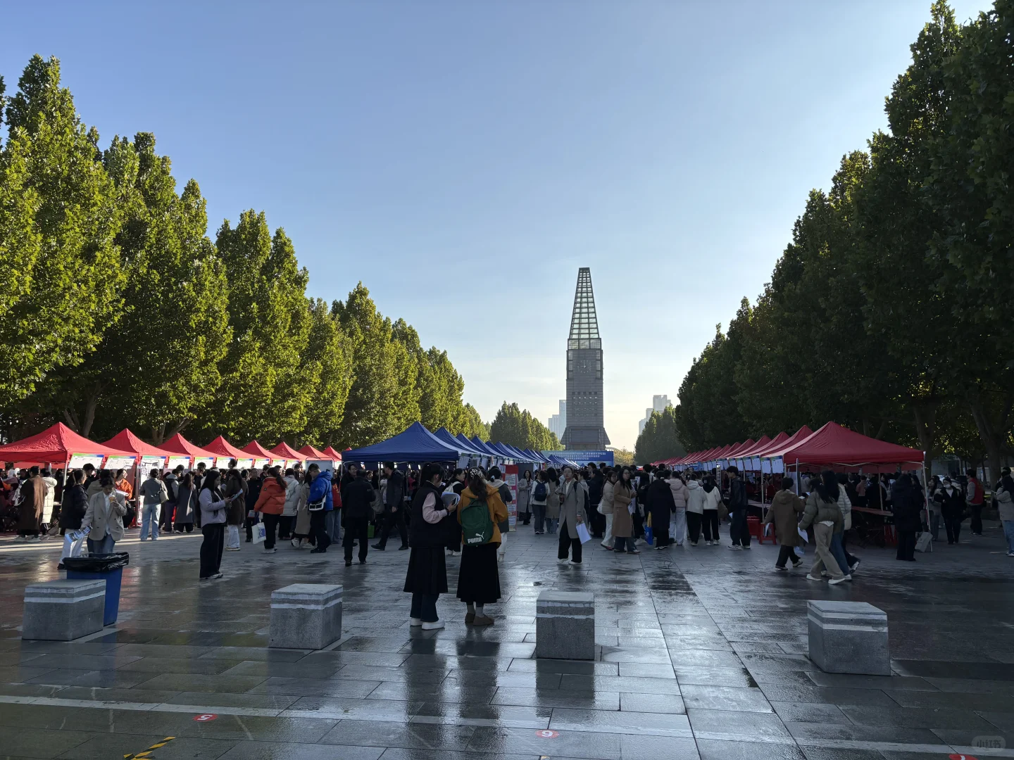 河北师大招聘会感悟