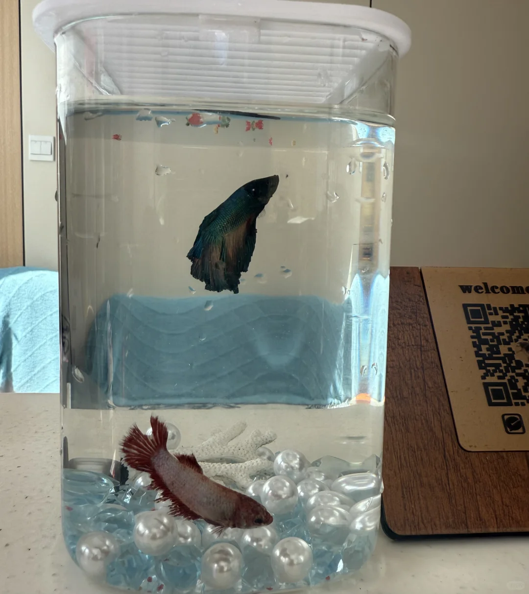 大理下关市区找工作的看过来了！