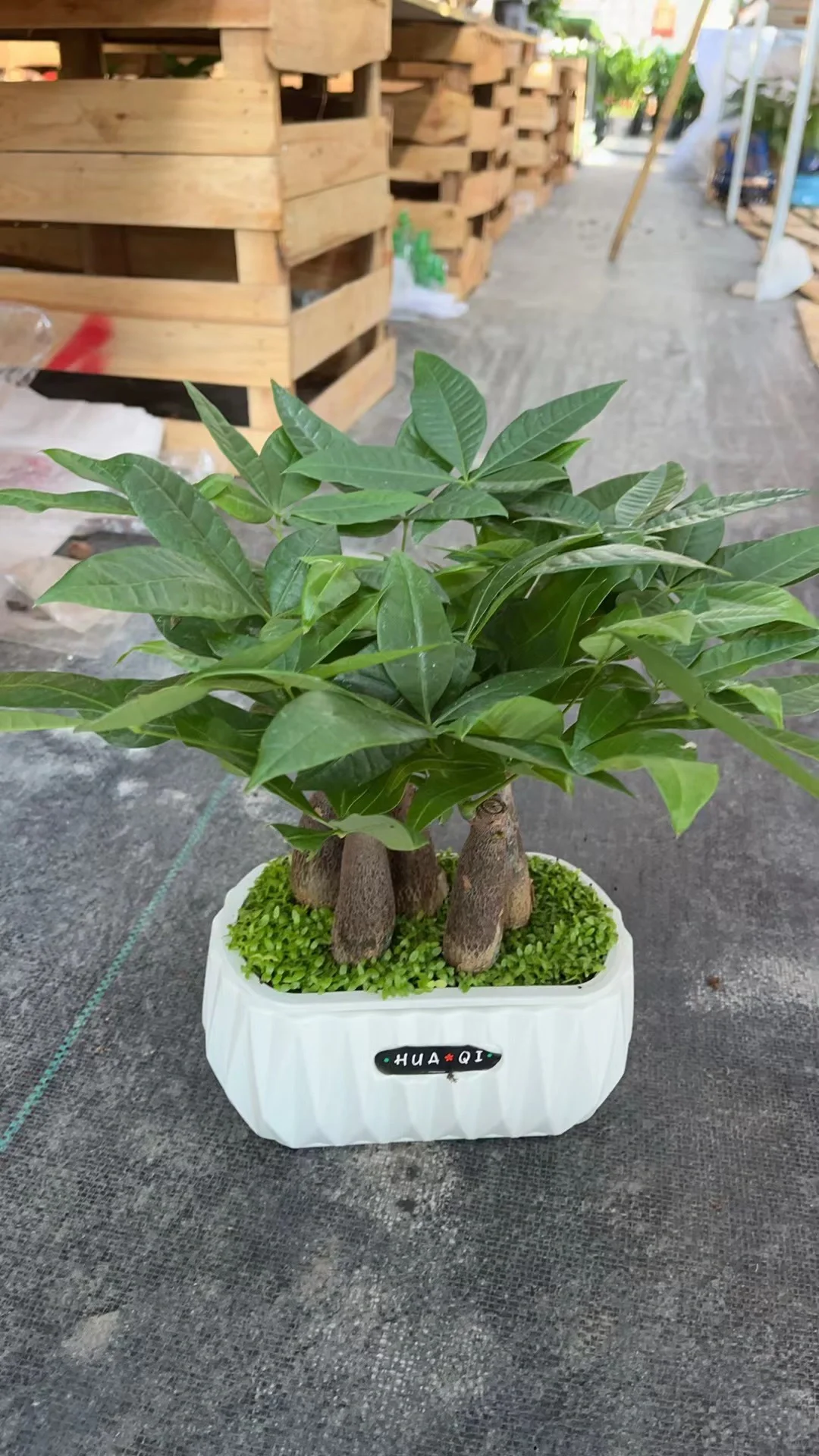 旧城区花店招聘