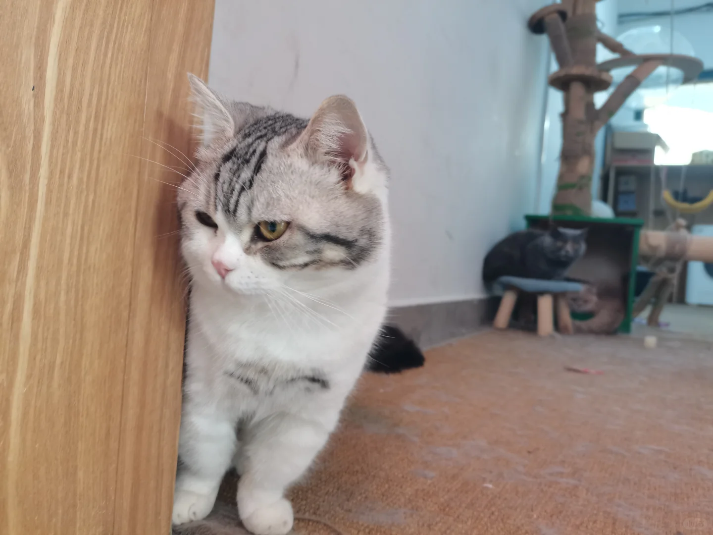 965华丽变身12126，自讨苦吃。。。吗？