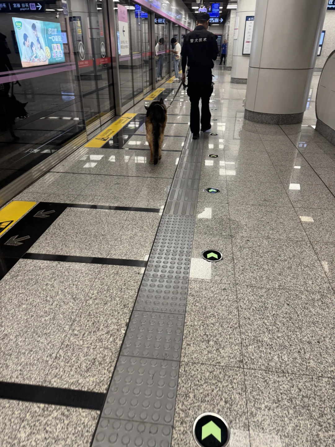 谁上班能高兴啊